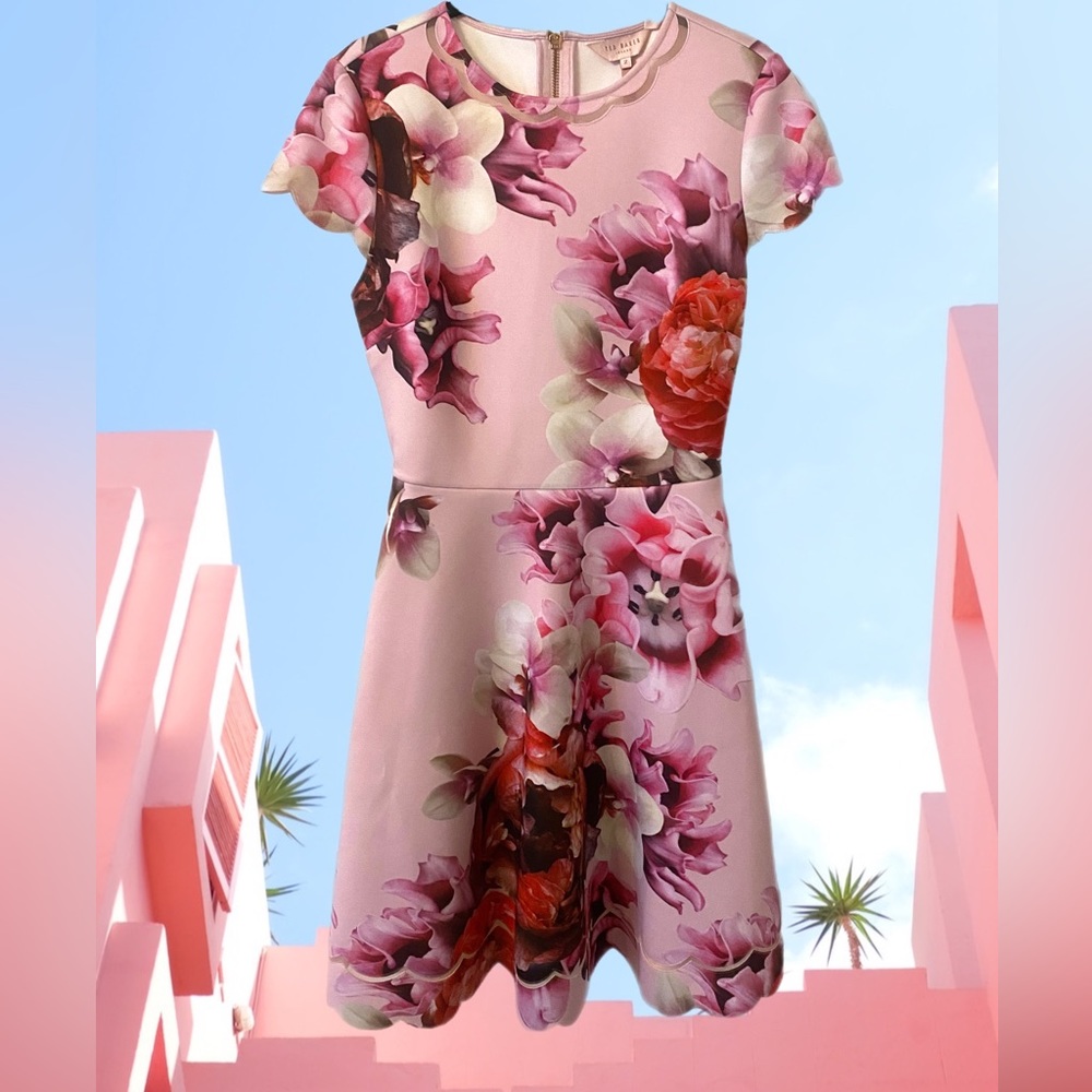 Ted Baker London | Seeana Splendour Skater Dress